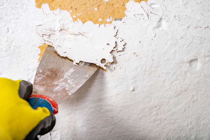 Paint Stripping Service